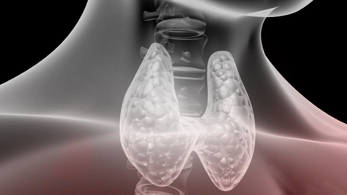 Thyroide
