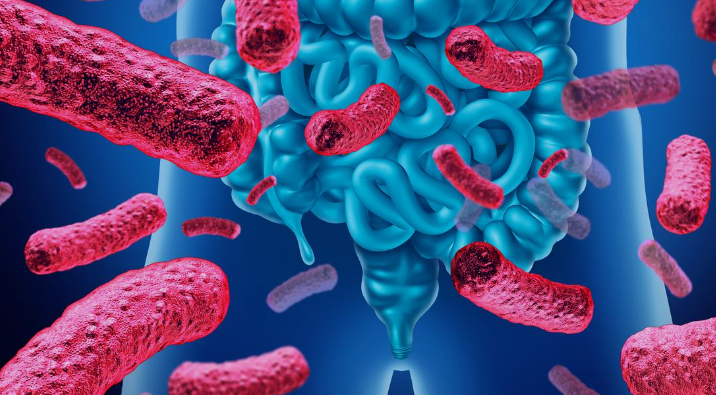 Transplantation fécale