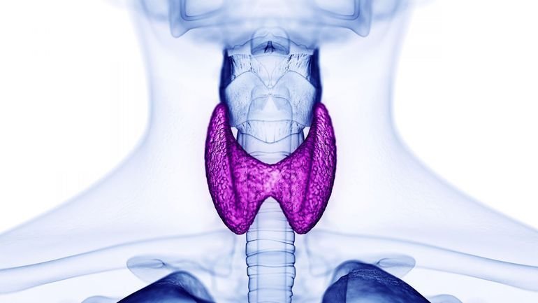 Thyroïde