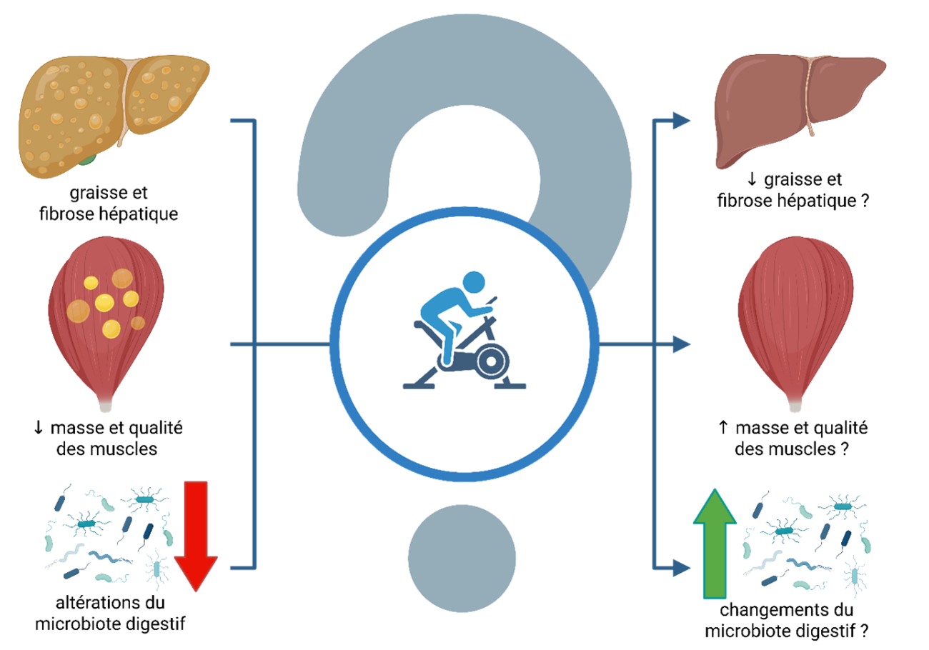 Où se déroulent les séances d’activité physique ? Vous avez le choix