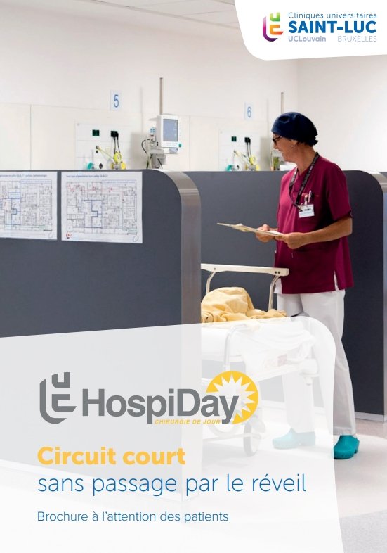 Hospiday - circuit court