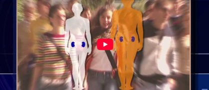 transplantation rénale