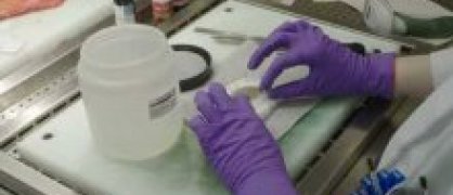 labo anatomie path_2