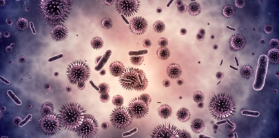 Illustration d'une bactérie 